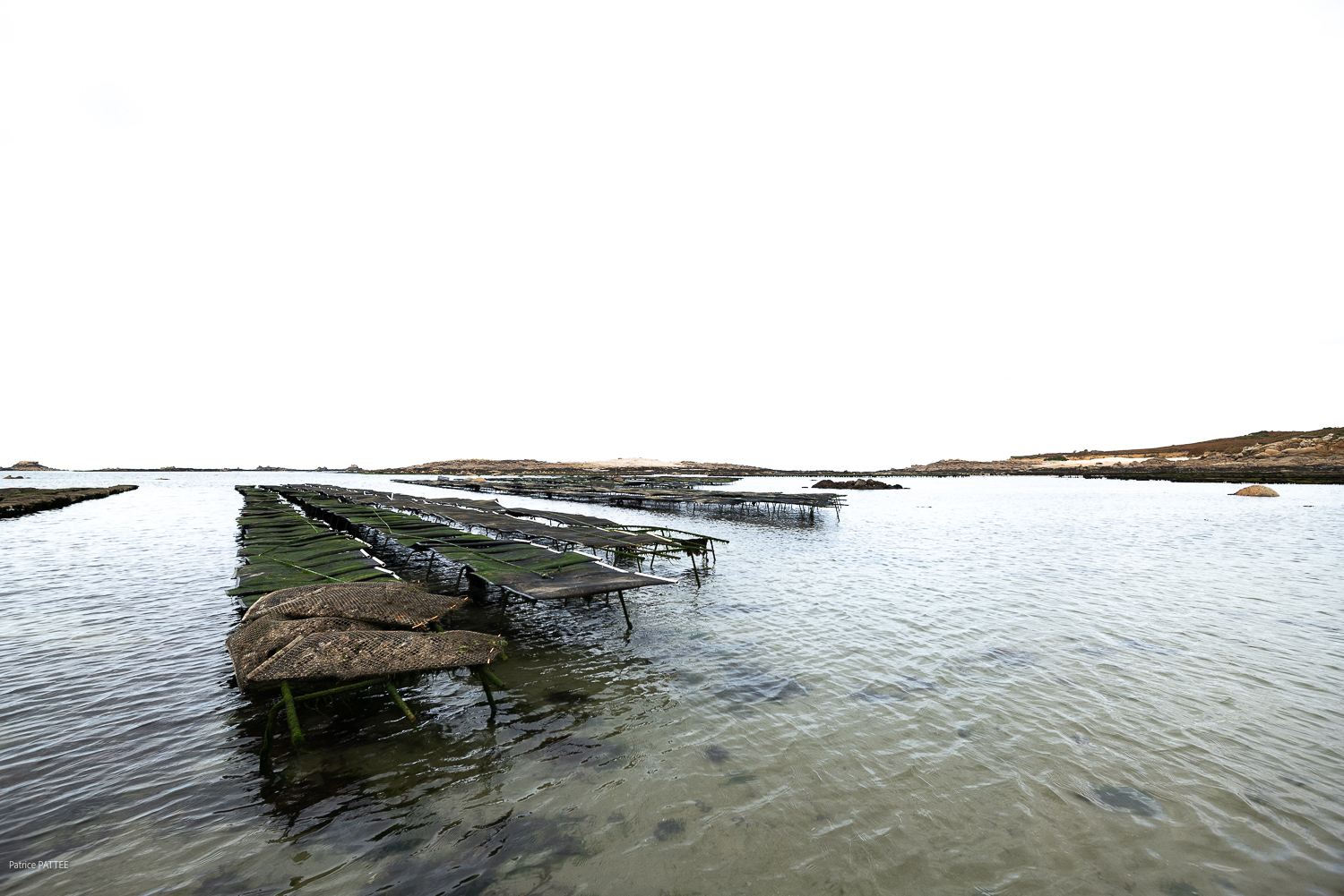 L'Ile Blanche